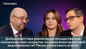Добросовестная реализация имущества или злонамеренное сокрытие от взыскания налоговой задолженности?