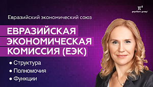 Евразийская экономическая комиссия (ЕЭК): структура, полномочия, функции ЕЭК в антимонопольной сфере